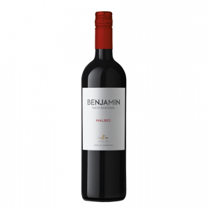 Nieto Senetiner Benjamin Malbec