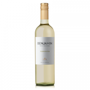 Nieto Senetiner Benjamin Torrontes