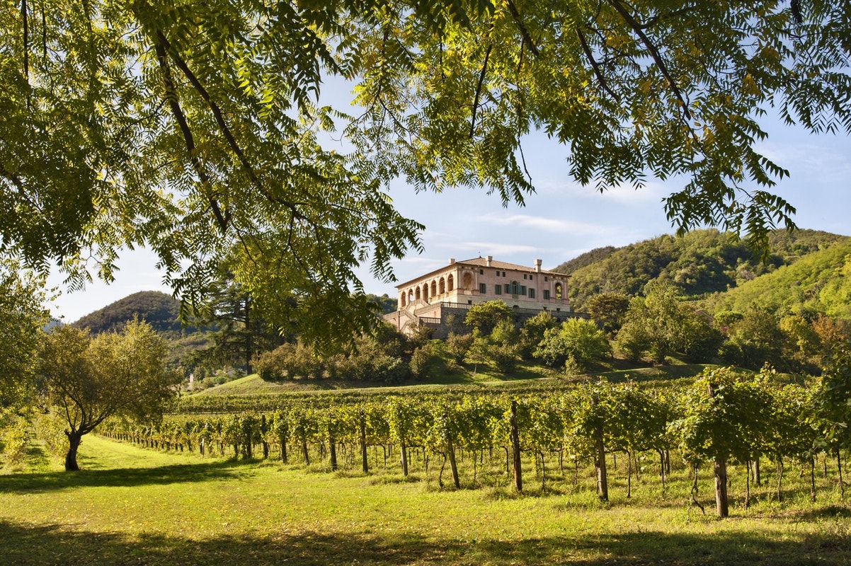Torre dei Vescovi Prosecco - Afbeelding 3