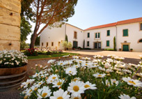 Château Millegrand Fût de Chene Minervois - Afbeelding 3