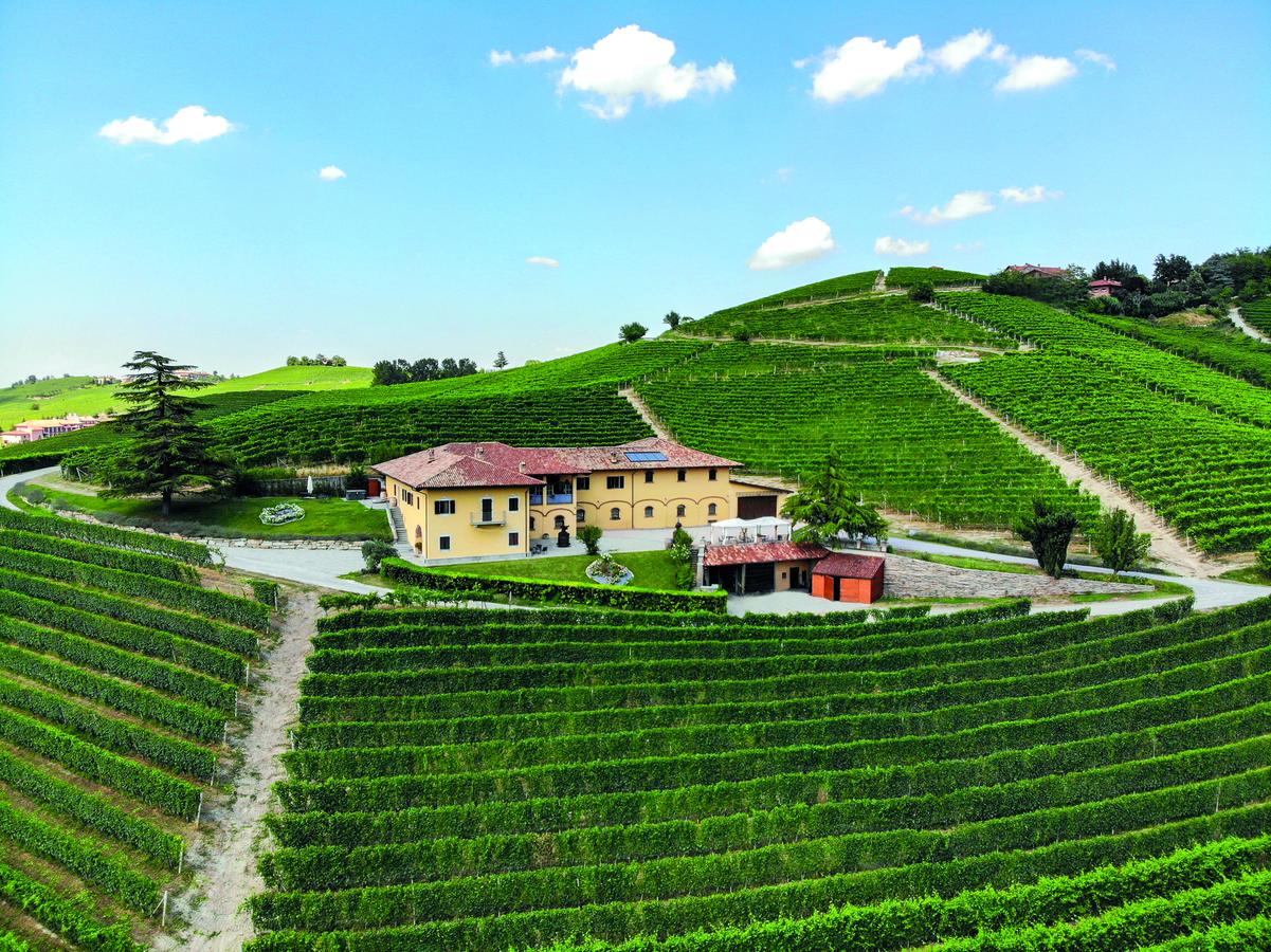 Costa di Bussia Langhe Chardonnay - Afbeelding 4