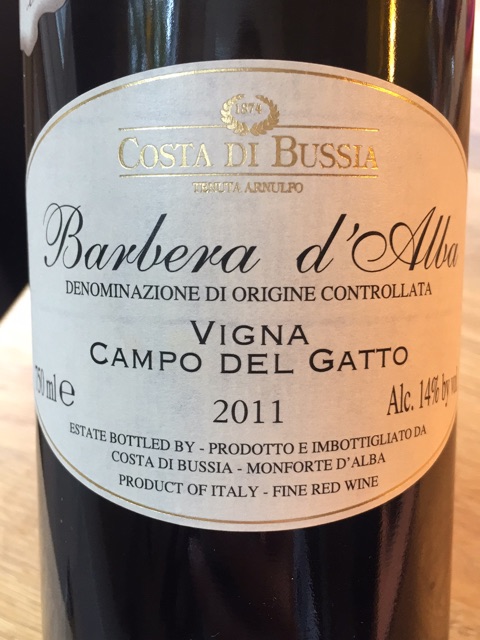 Costa di Bussia Barbera d'Alba Vigna Campo - Afbeelding 3