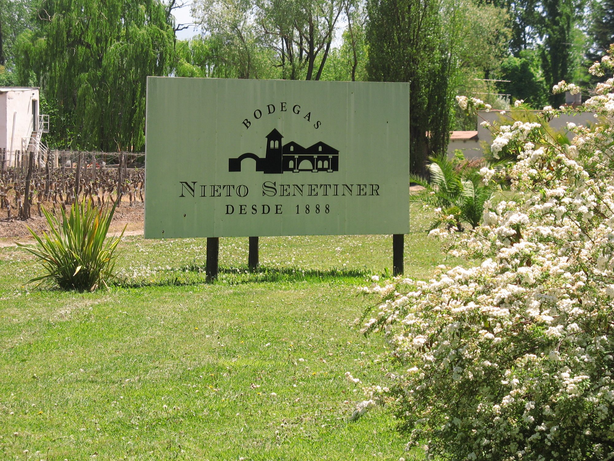 Nieto Senetiner Chardonnay - Afbeelding 4