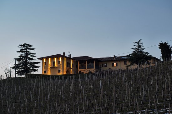 Costa di Bussia Barbera d'Alba Vigna Campo - Afbeelding 4