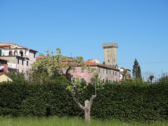Torre dei Vescovi Merlot - Afbeelding 4