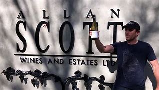 Allan Scott Sauvignon Blanc - Afbeelding 3