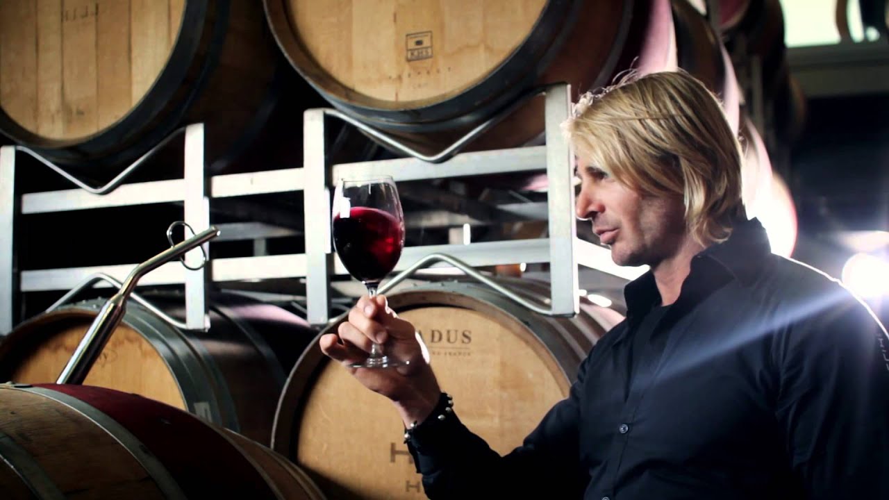 Leo Hillinger Grüner Veltliner - Afbeelding 3