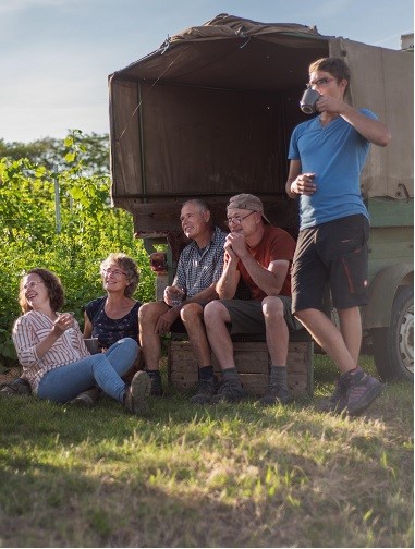 Winzer Sommerach Valentin Silvaner Trocken - Afbeelding 3