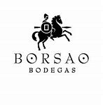 Bodegas Borsao Seleccion Tinto